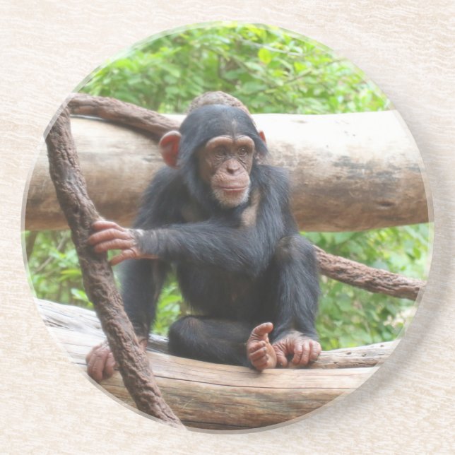 Posavasos Chimpanzee 001 (Frente)
