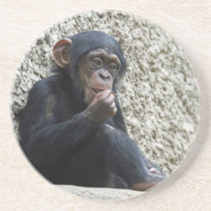 Posavasos Chimpanzee 013