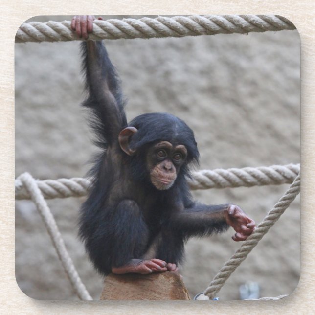 Posavasos Chimpanzee 017 (Frente)
