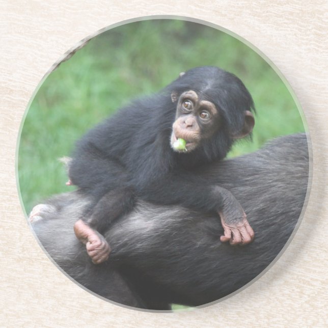Posavasos Chimpanzee 032 (Frente)