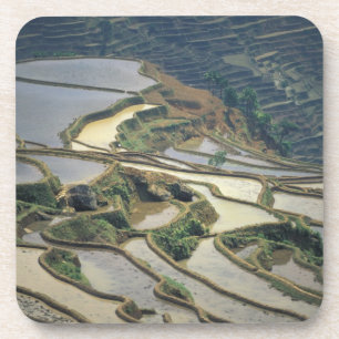 Posavasos China, provincia de Yunnan. Terrazas de arroz inun