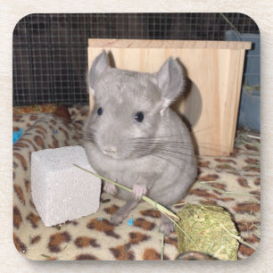 Posavasos Chinchilla