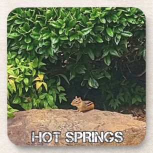 Posavasos Chipmunk en aguas termales