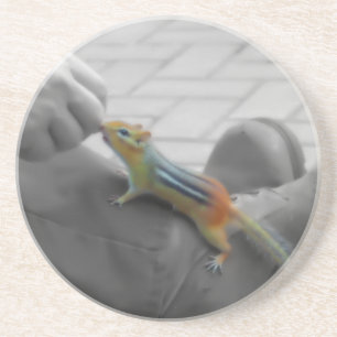 Posavasos Chipmunk Lunch