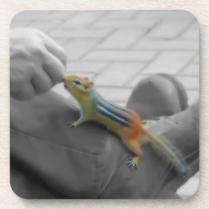 Posavasos Chipmunk Lunch