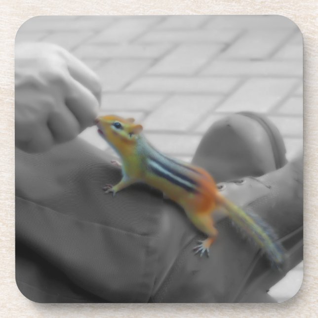 Posavasos Chipmunk Lunch (Frente)