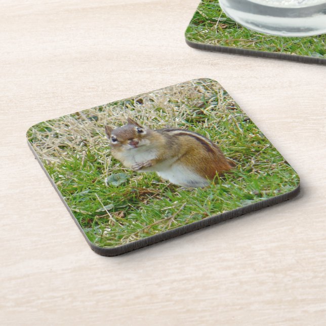 Posavasos Chipmunk oriental (Lado Izquierdo)