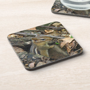 Posavasos Chipmunk oriental - Tamias striatus