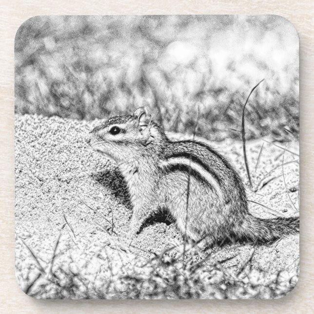 Posavasos Chipmunk Sketch (Frente)