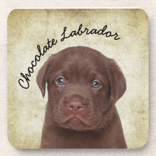 Posavasos Chocolate Labrador