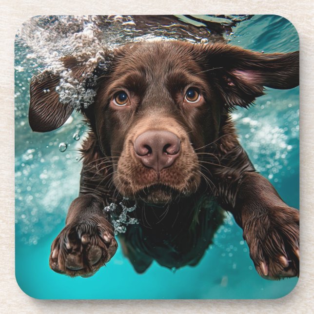 Posavasos Chocolate labrador juguetón nadando bajo el agua (Frente)
