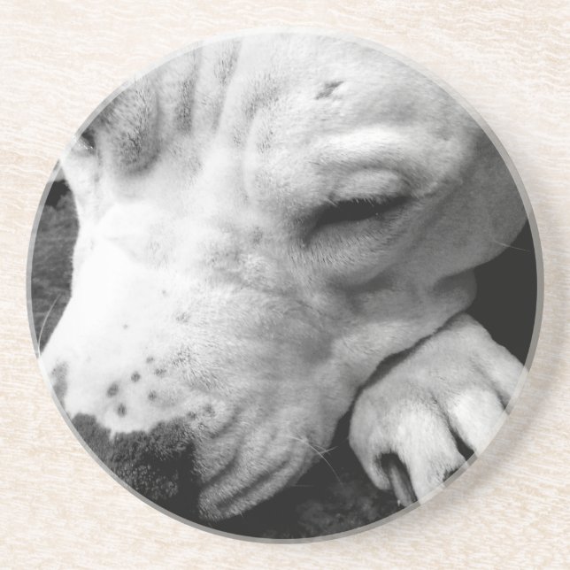 Posavasos cicatriz de harry potter perro pit bull blanco (Frente)