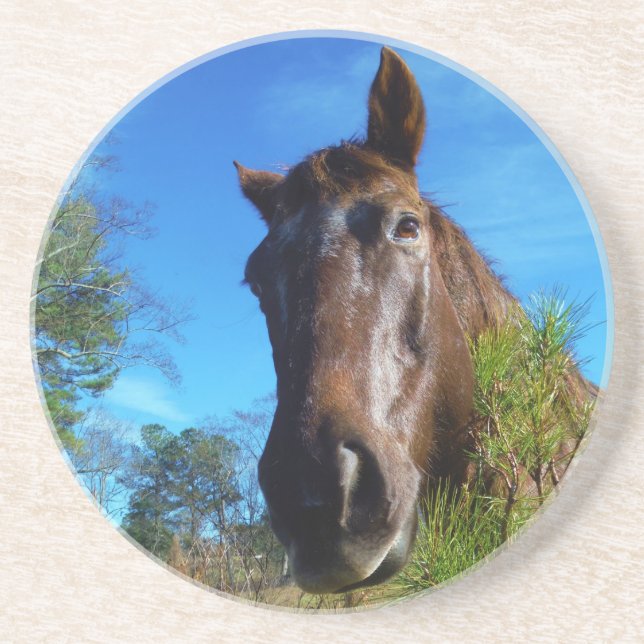 Posavasos Cielo azul de caballo marrón y crema (Frente)