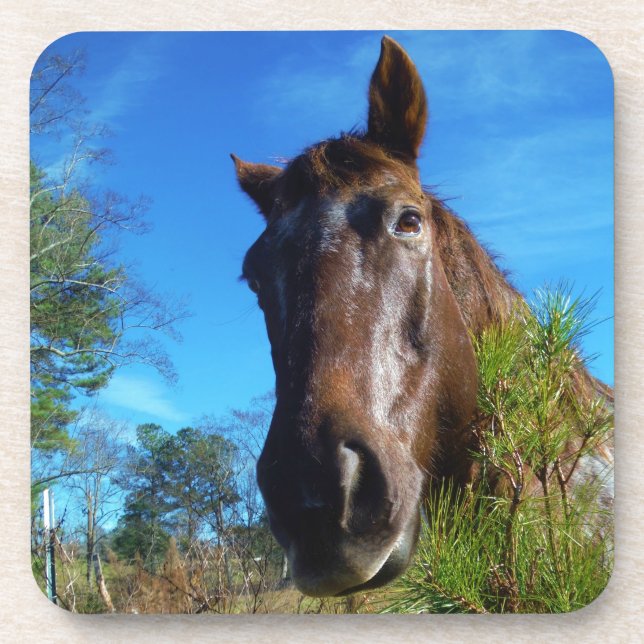Posavasos Cielo azul de caballo marrón y crema (Frente)