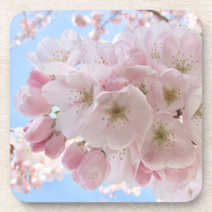 Posavasos Cielo azul de flores rosas.
