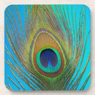 Posavasos Cierre de la pluma de pavo real