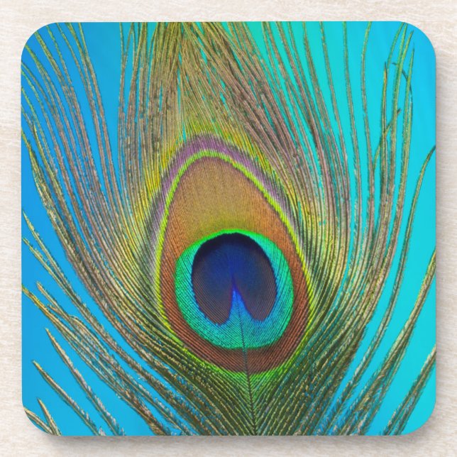 Posavasos Cierre de la pluma de pavo real (Frente)