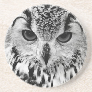 Posavasos Ciérrese encima del retrato del Eagle-búho
