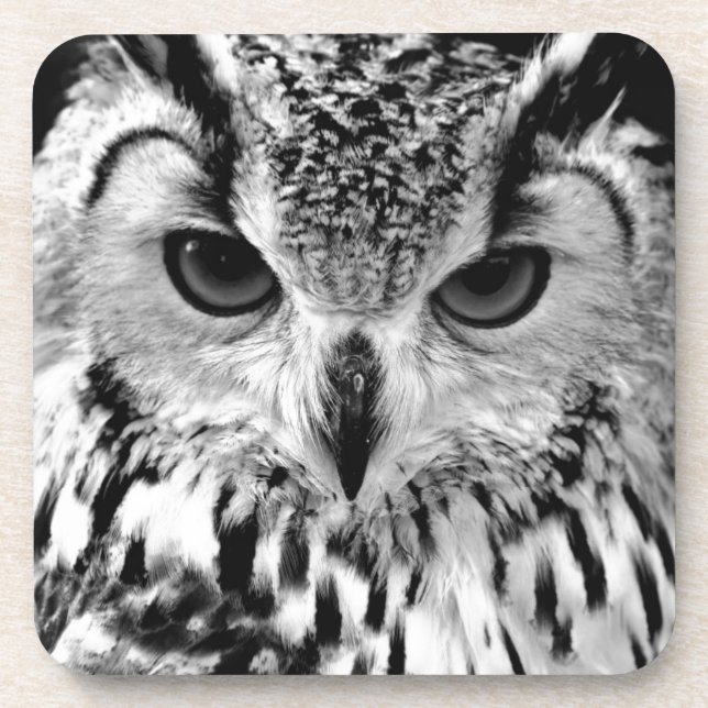 Posavasos Ciérrese encima del retrato del Eagle-búho (Frente)