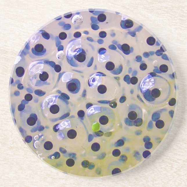 Posavasos Ciérrese para arriba de los huevos de Frogspawn (Frente)