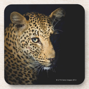 Posavasos Ciérrese para arriba del leopardo, mayor nacional