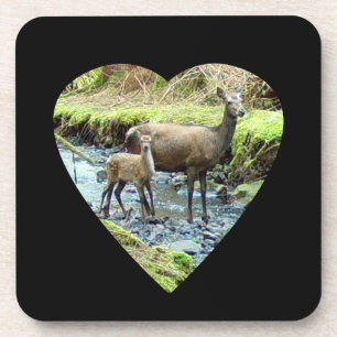 Posavasos Cierva Roja Suave Con Cria Bosque Naturaleza 6x