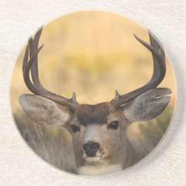 Posavasos ciervos