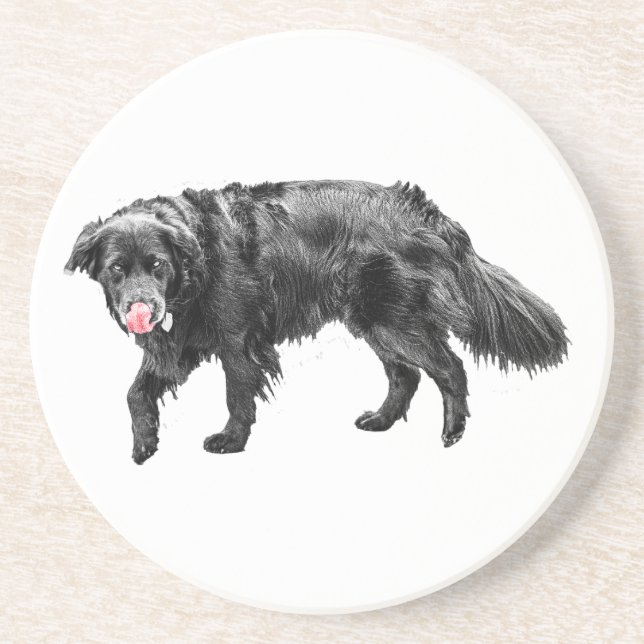 Posavasos Cinnamon Steam, Scarlet Lick (Frente)