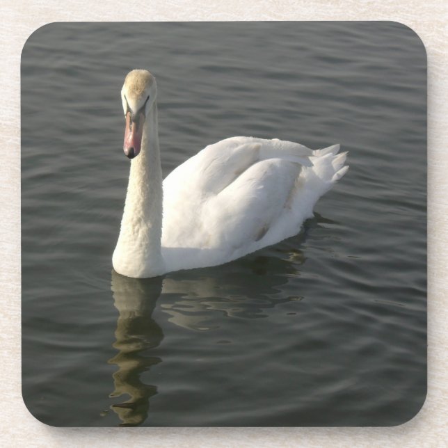 Posavasos Cisne (Frente)