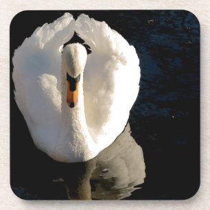 Posavasos Cisne