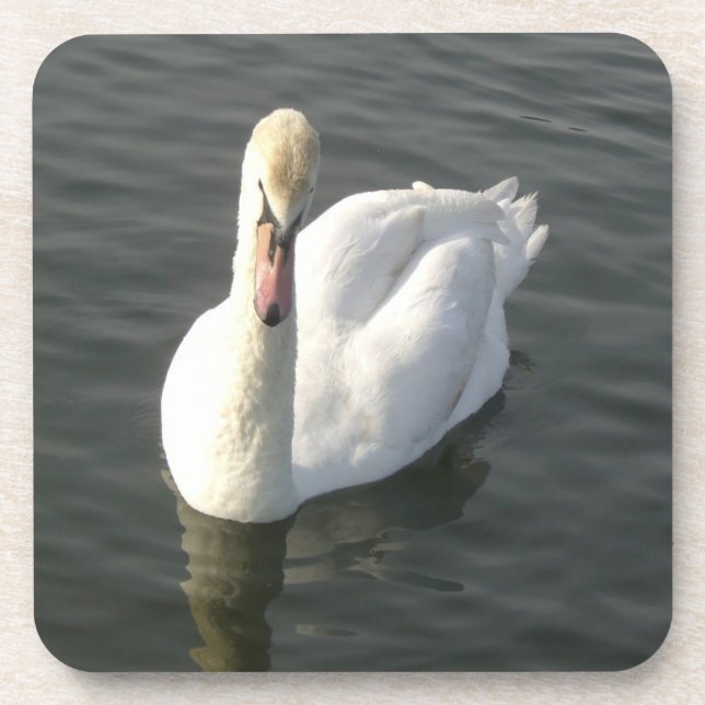 Posavasos Cisne (Frente)