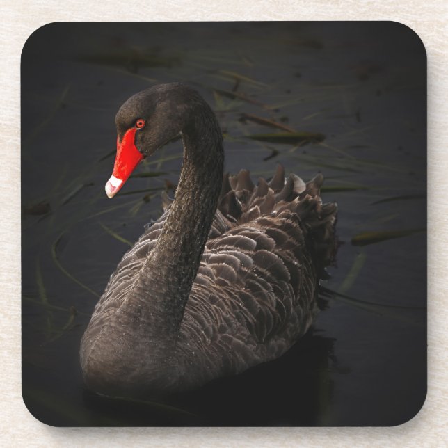 Posavasos Cisne negro (Frente)