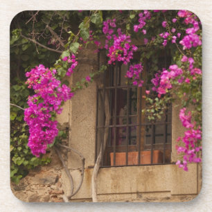 Posavasos Ciudad Monumental, edificios cubiertos de flores