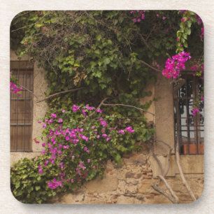 Posavasos Ciudad Monumental, edificios cubiertos de flores