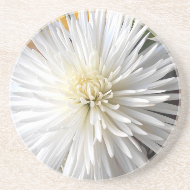 Posavasos Claricia (Frente)