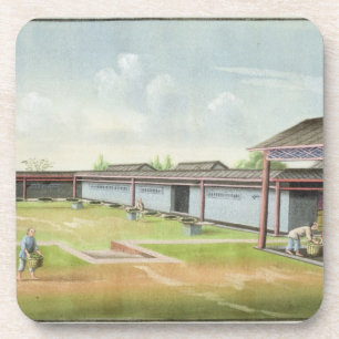 Posavasos Clasificando las pequeñas hojas para secarse (w/c