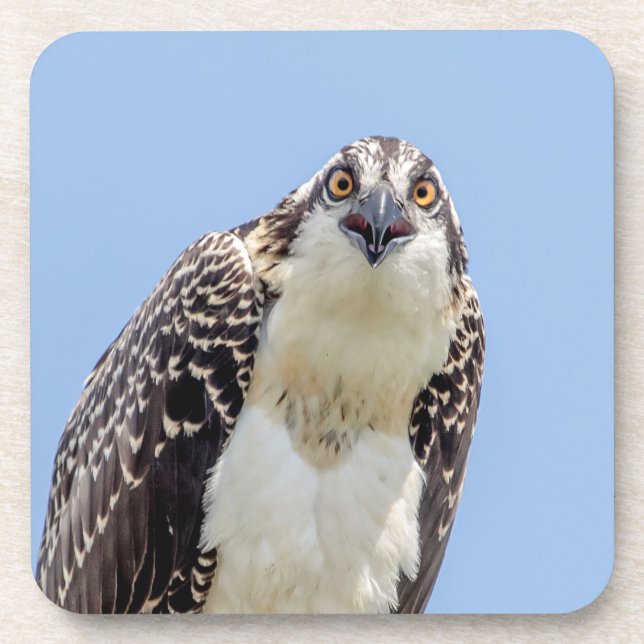 Posavasos Clausura de una orgía juvenil (Frente)