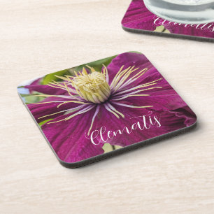Posavasos Clemátide Púrpura Floral en Flor