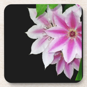 Posavasos Clematis rosa y blanco