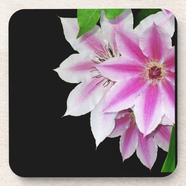 Posavasos Clematis rosa y blanco (Frente)