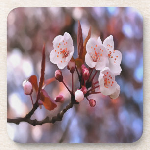 Posavasos Clúster con flores de cerezo con rosa y azul