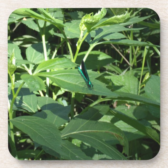 Posavasos Coaster (Frente)