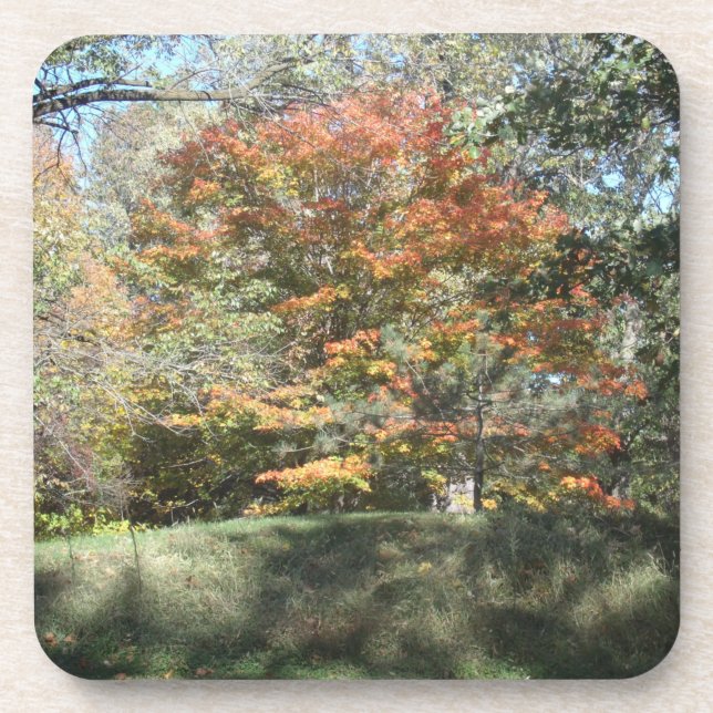 Posavasos Coaster (Frente)