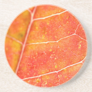Posavasos Coaster de arenisca de hoja de arce de otoño naran