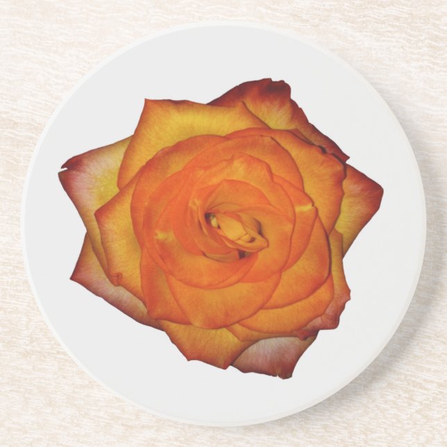 Posavasos Coaster de arenisca de rosa naranja quemada (Frente)
