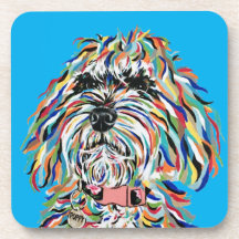 COASTER DE BERNESEDOODLE