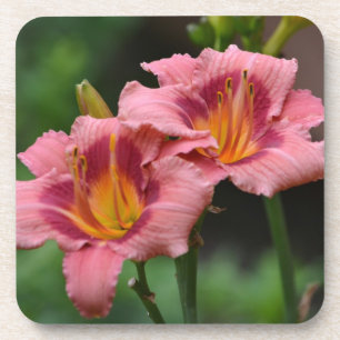 Posavasos Coaster De Lily Doble