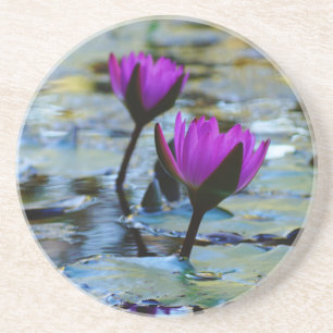 Posavasos Coaster de Waterlilies