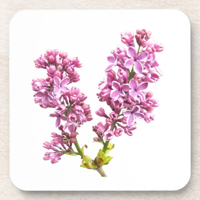 Posavasos Coaster set - Lilac blossoms (Frente)