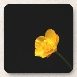 Posavasos Coasterca de flor de mariposa